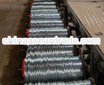 (Factoty Price)Black Annealed Metal Wire with High Quality