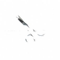 Manicure CUTICLE SCISSOR