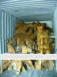 TEAK WOOD ROOTS ORIGINAL INADONESIA FOREST