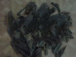 Gaharu Wood ( Chen Xiang Mu )