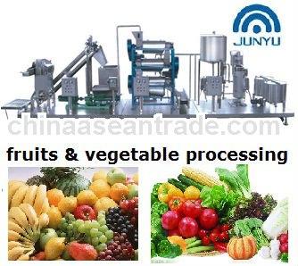 africa fruit juice production line