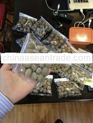 High Grade Whole Round Nutmeg