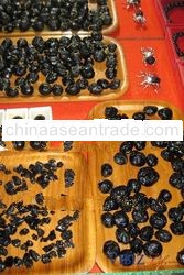 Billitonite / Satam Stone / Meteor Stone