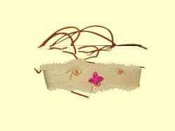 handbag Code : R-244