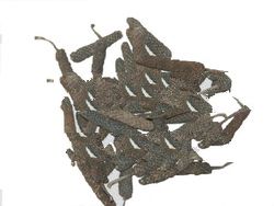 Long Pepper