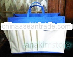 Bag Organizer