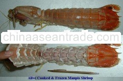 Alive Cooked & Frozen Manpis Shrimp