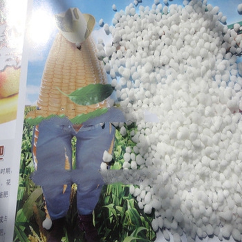 ammonium sulfate plant