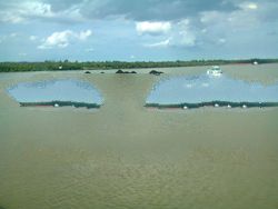 STEAM COAL INDONESIA ORIGINAL