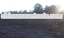 thermal coal from Sulawesi 