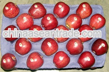 apple fruits, apple fruits red delicious chinese apple fruit