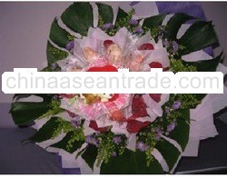 Bear Series Gifts Pack -Love In Garden