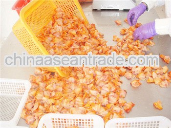 ark shell in frozen shellfish