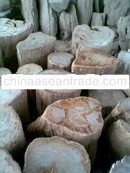 petrified wood stool