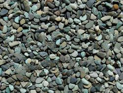 Gravel (AB - Mixed Green)