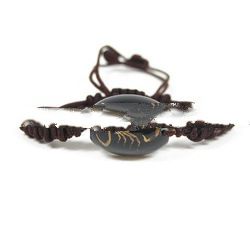 Real Insect Amber Bracelet Fashional Jewellery(crafts,gifts,souvenir ,novelties,gift promotion ,)