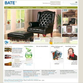 auction website design services