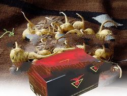 TRICAJUS: 'Mix Lemon Powder Drink With Tea Polyphenols'