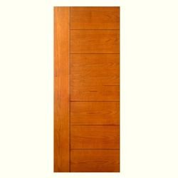 Facia door