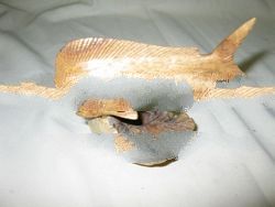 Wood salt Fish carving
