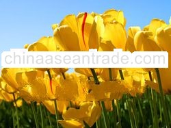 Self-adhesive Labels, Stickers, Nameplates