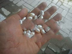 Keshi Baroque Sea Pearl