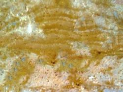 Artificial Stone,