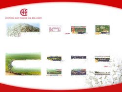 Imported Normal Thai Rice