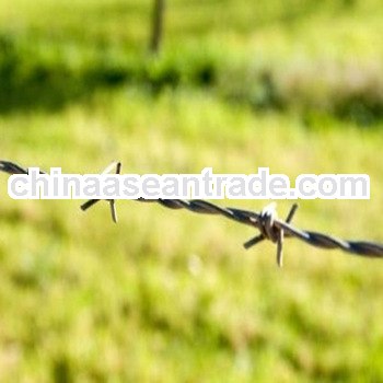 barbed wire roll price fence(factory)
