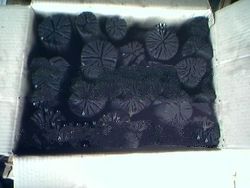 Mangrove Wood Charcoal