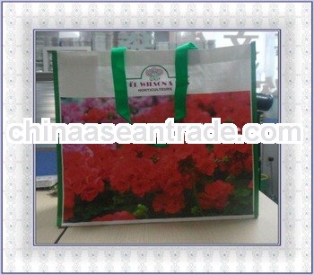 beautiful pp woven shopping bag