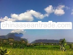 sale of land plots