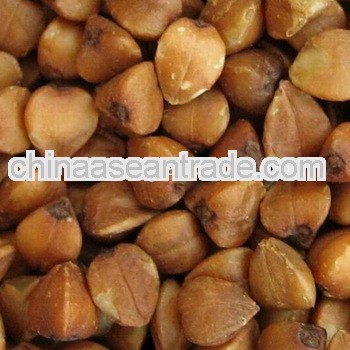 best price for Roasted Buckwheat Kernel