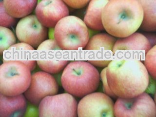 best price red fuji apple, 2013 fresh new season shandong red fuji apple