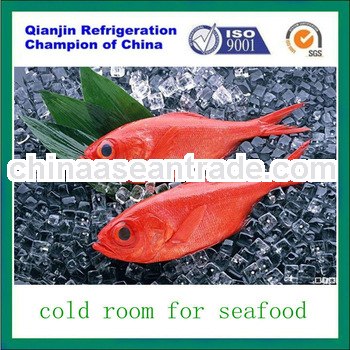 blast freezer cold room for fish and meat
