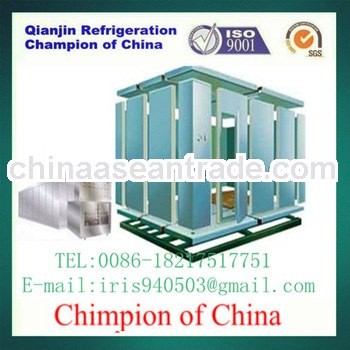 blast freezer for fish,chicken,beef