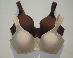 2 NEW Body By Victoria's BBV Bras 34DD