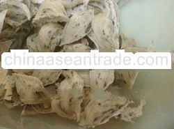 Edible swiftlet white bird nest