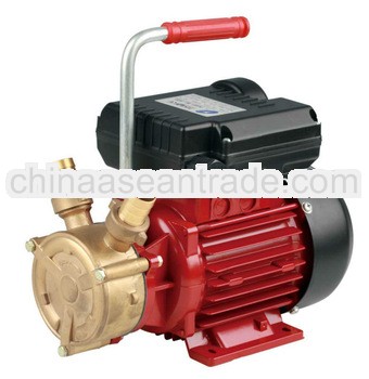 brass peripheral pump