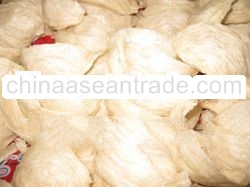 Bird Nest After Process