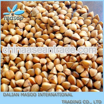 buckwheat,roasted buckwheat, buckwheat kernel, low price
