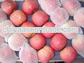 bulk fresh Fuji apple