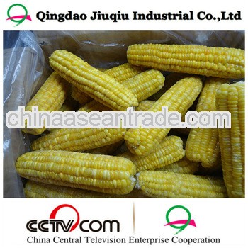 bulk frozen super sweet corn