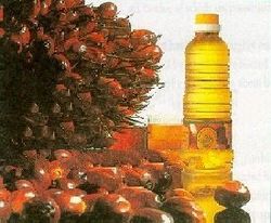 RBD PALM OIL