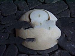 STONE CANDLE HOLDER