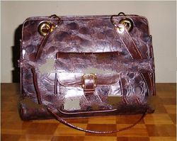 Alligator Skin Bag