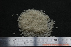 5% White Rice
