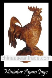 Miniature Rooster