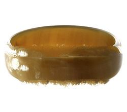  Handmade Buffalo Horn bracelets