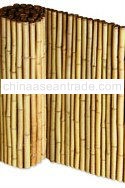 BAMBOO FENCING bfp22